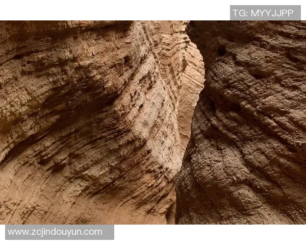 探索阿拉巴的魅力与神秘：文化历史与自然风光的完美交融之旅